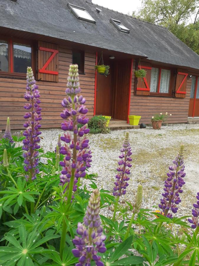 Chez Christine Bed & Breakfast Noyal-Pontivy Dış mekan fotoğraf